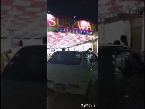 karachi animal mandi with simra