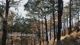 I did it for your love