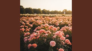 Download lagu Andai Aku Hidup di Zamannya mp3 Download lagu Andai Aku Hidup di Zamannya mp3