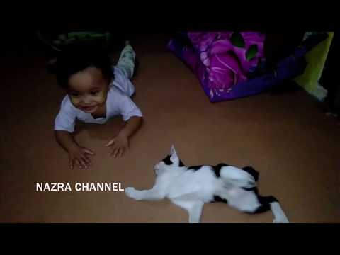 NAZRA BERMAIN DENGAN KUCING 2