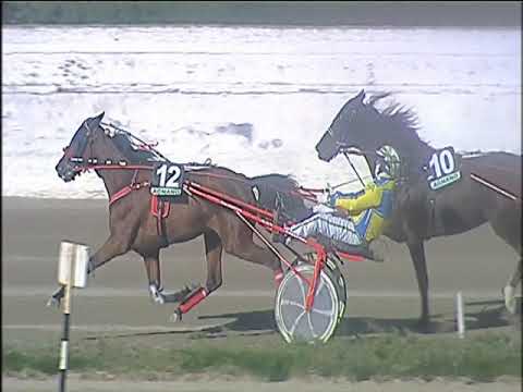 Trotto 31/12/2019 - 1ª corsa