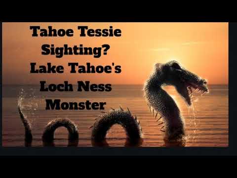 Tahoe Tessie Lake Tahoe's Loch Ness Monster Sighting