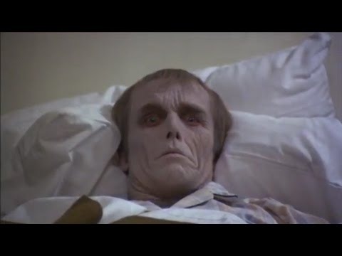 Horror Scenes That I Love: Life and Death in Dawn of the Dead | Through ...