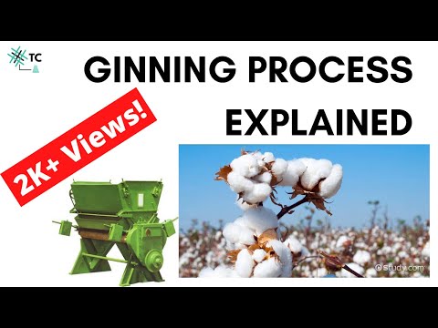 Ginning Process of Cotton Explained | TexConnect