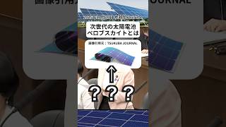 ペロブスカイトとは #参政党 #メガソーラー