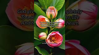 Download lagu Cintaku Memberi makan Tuhan dengan memuaskan...kutipan untuk jiwamu mp3