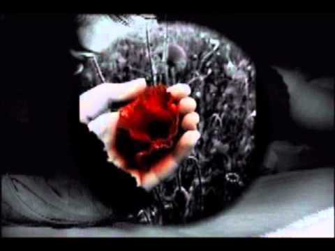 Mc Tikyy Sevgimi Görmedin...