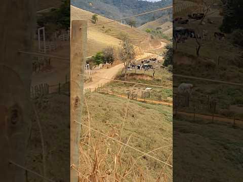 FAZENDA A BEIRA DA ESTRADA,  PAULISTA MG