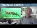 Taucher.Net Webinar - Tauchen in Kärnten, Diving Weissensee / Weißensee - Ost, Österreich