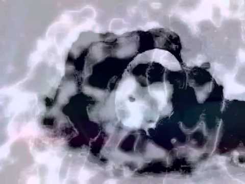 Skew & Satirist - Optic Chasm [KILLEKILL 021]