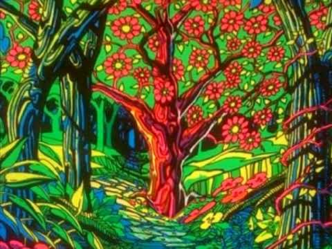 Higher Path - antimi.com