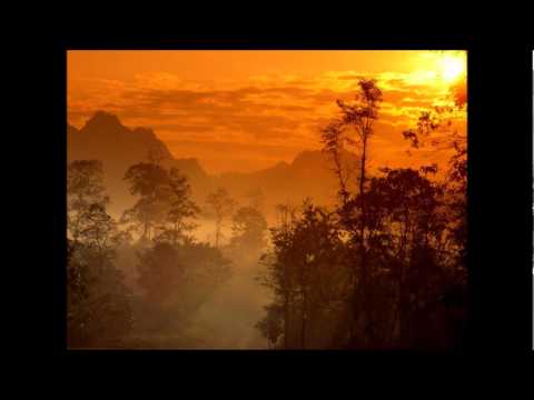 Heidi Freeman Blues Guitar Improv