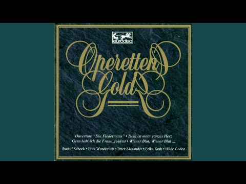 Gräfin Mariza: Komm Zigany (auch ich war einst ein feiner Csárdáskavalier)