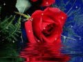 Andrea Berg "Ich Liebe Dich" 