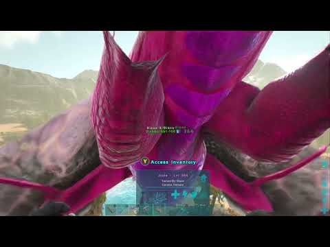 #ArkFails- Just having a bad day