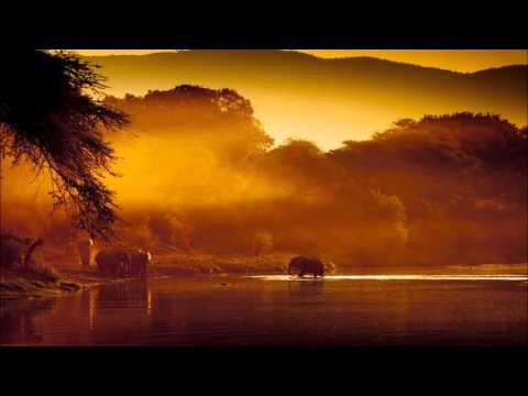 Afrikan Roots Feat. Buckz - Ko Morago