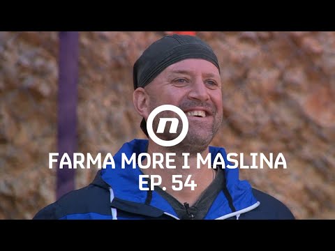 Biranje drugog dueliste - Epizoda 54 | Farma More i Maslina