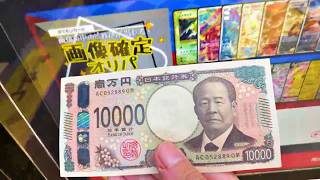 ゆゆ散歩中にオリパ自販機で散財するゆゆうた【2026/09/18】