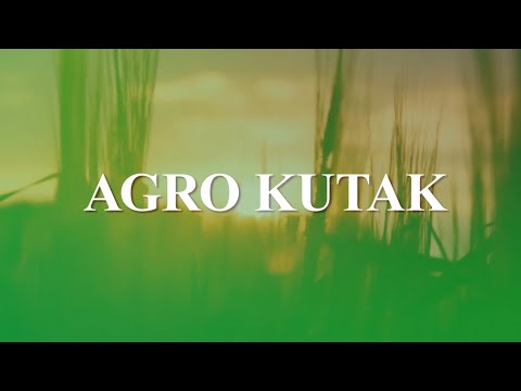 Pod jednim krovom 7 dunuma jagoda u Čeliću - Agro kutak - 27.04.2023.