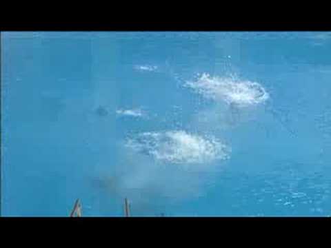 Diving - Women's Synchronised 3M Springboard Final - Beijing 2008 Summer Olympic Games