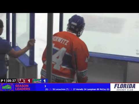 Jamie Goldman Play-by-Play Demo Reel (UF Hockey 2024)