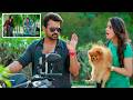 Sai Dharam Tej And Anupama Parameswaran Ultimate Comedy Scene Tej I Love You Movie Scene Volga