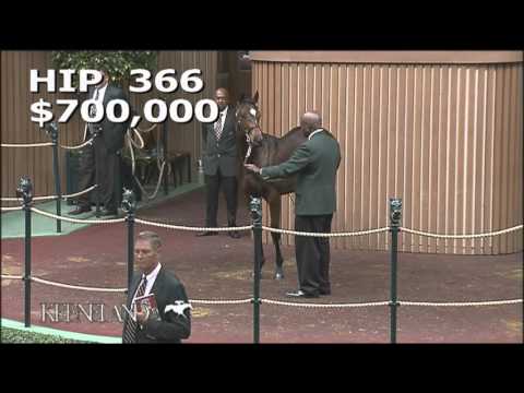 2015 November Breeding Stock Sale: Hip 366 - Bay Filly (Tapit - Marketing Mix)