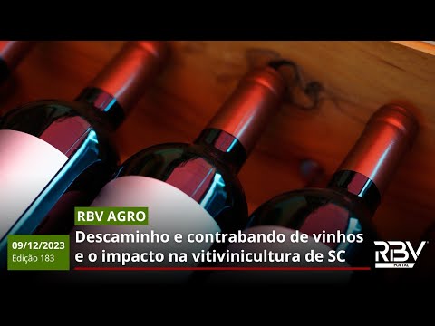 DESCAMINHO E CONTRABANDO DE VINHOS – RBV Agro Edição 183 – 09/12/2023