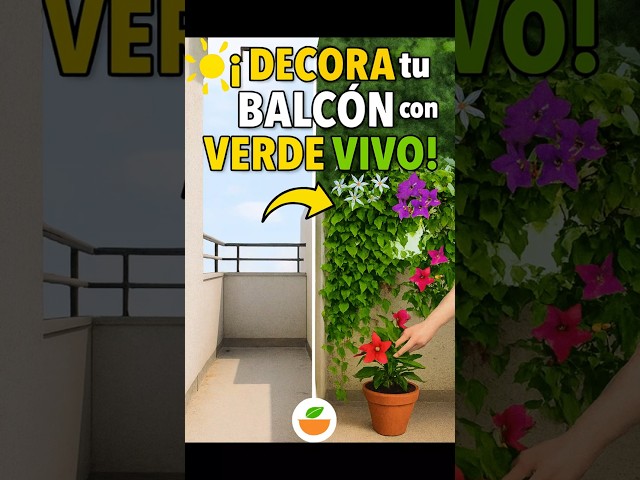 Vídeo relacionado con Nidera de exterior | forma colmena decoración | para gorriones | Adecuado para jardines, patios, parques, porches, árboles, balcones, patios y terrazas
