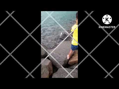 FISHING IN SEYCHELLES | РЫБАЛКА НА СЕЙШЕЛАХ