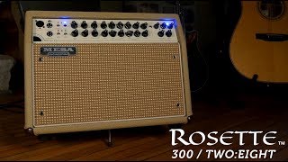 Mesa Boogie Rosette Combo 2x8 - Video