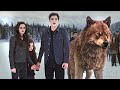 Cullen Crew VS Volturi Posse The Twilight Saga Breaking Dawn Part 2 CLIP