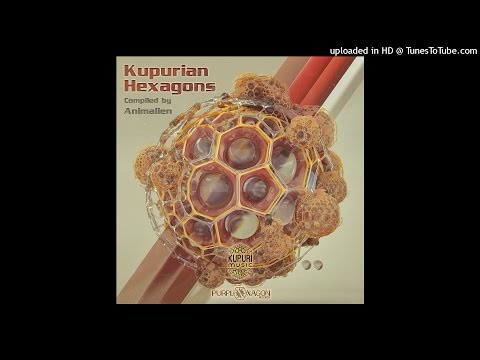 Southwild - Perpetual Vortex