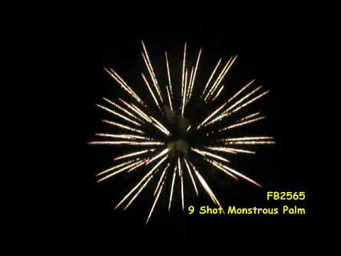 FB2565 Monstrous Palm