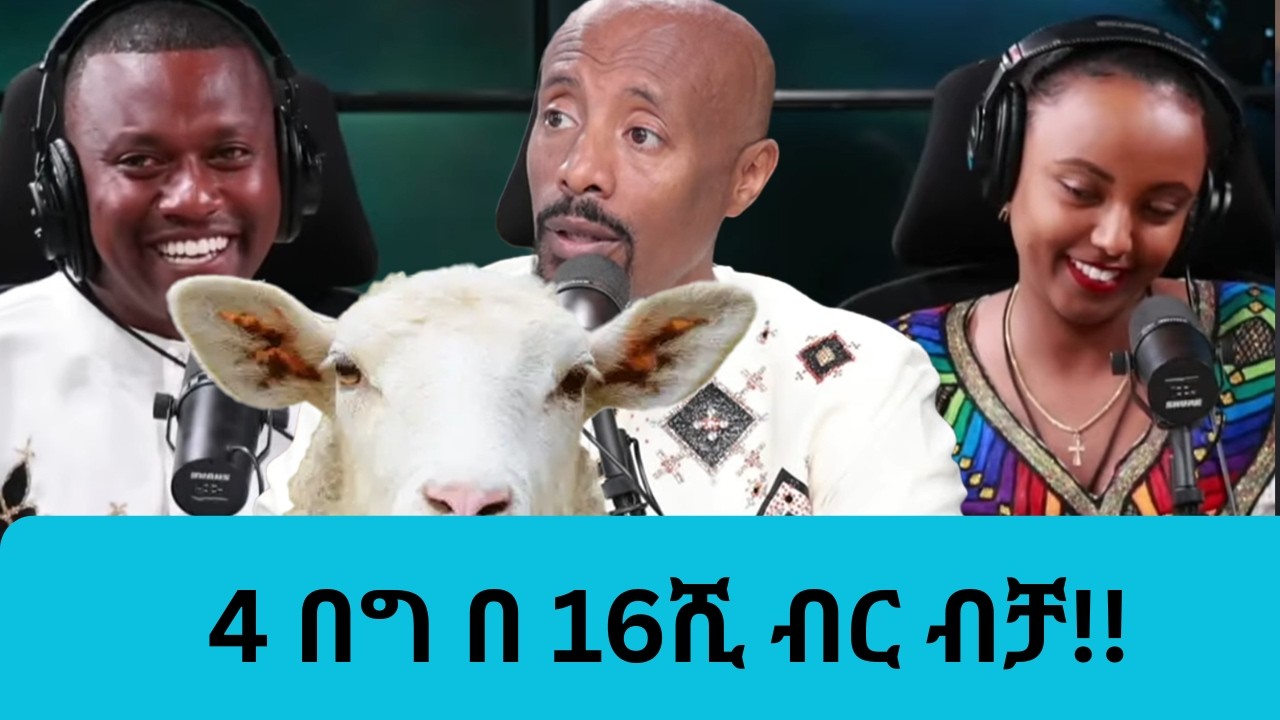 4  በግ በ16ሺ ብር!!! ||Tadias Addis :