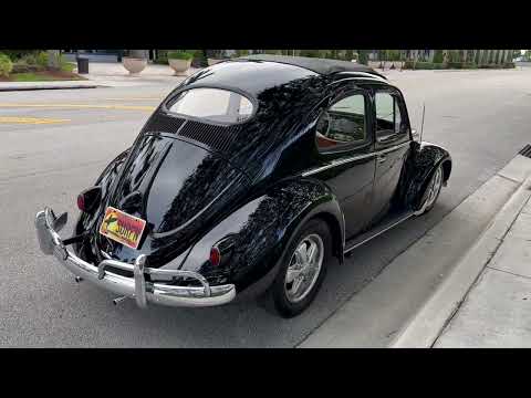 1957 Volkswagen Beetle (CC-1594548) for sale in Miami, Florida