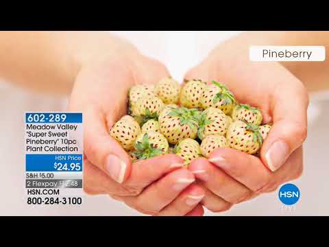 HSN | AT Home 03.09.2018 - 09 AM