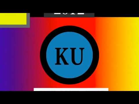 ベニカミキリの飛翔　高速度映像