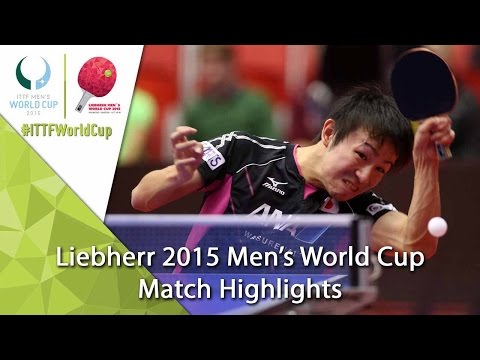 2015 Men's World Cup Highlights: NIWA Koki vs GARDOS Robert (R16)