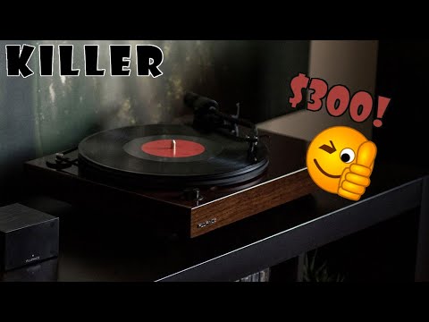RT82 Reference | Beautiful turntable for $300