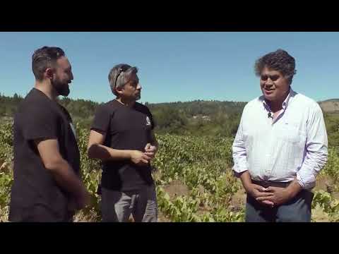 La senda del vino Temporada 3 capitulo 7