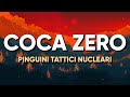Pinguini Tattici Nucleari - COCA ZERO (Testo/Lyrics)