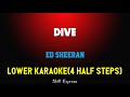 Dive ( LOWER KEY KARAOKE ) - Ed Sheeran (4 half steps)