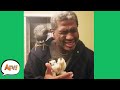 An EAR-PECKING Good Time! 😂 | Funny Fails | AFV 2021 An EAR-PECKING Good Time! 😂 | Funny Fails | AFV 2021