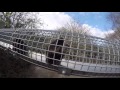 Monkey Try S To Steal GoPro At Monkey World