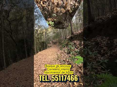 Finca en Venta en Usumatlán, Zacapa.