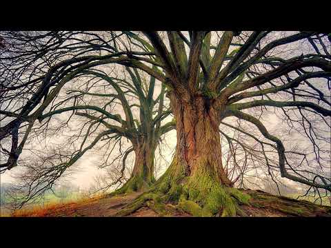 Kleopas - Motionless Dancers