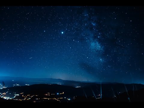 Mlađak i palma - Ferzudin Zulić