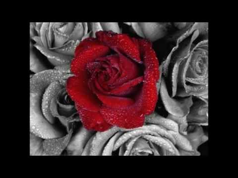 TUT ELLERİMİ   GÜFTE CANAN ONUŞ