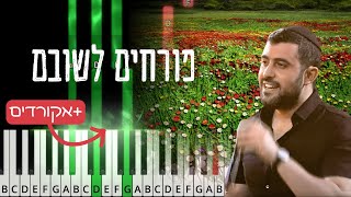 Purchim Leshuvam by Ishay Ribo. Easy piano tutorial with chords. ישי ריבו - פורחים לשובם